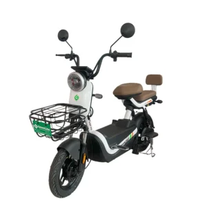 bicimoto-electrica-p01-amazon-greenline-pucallpa.jpg
